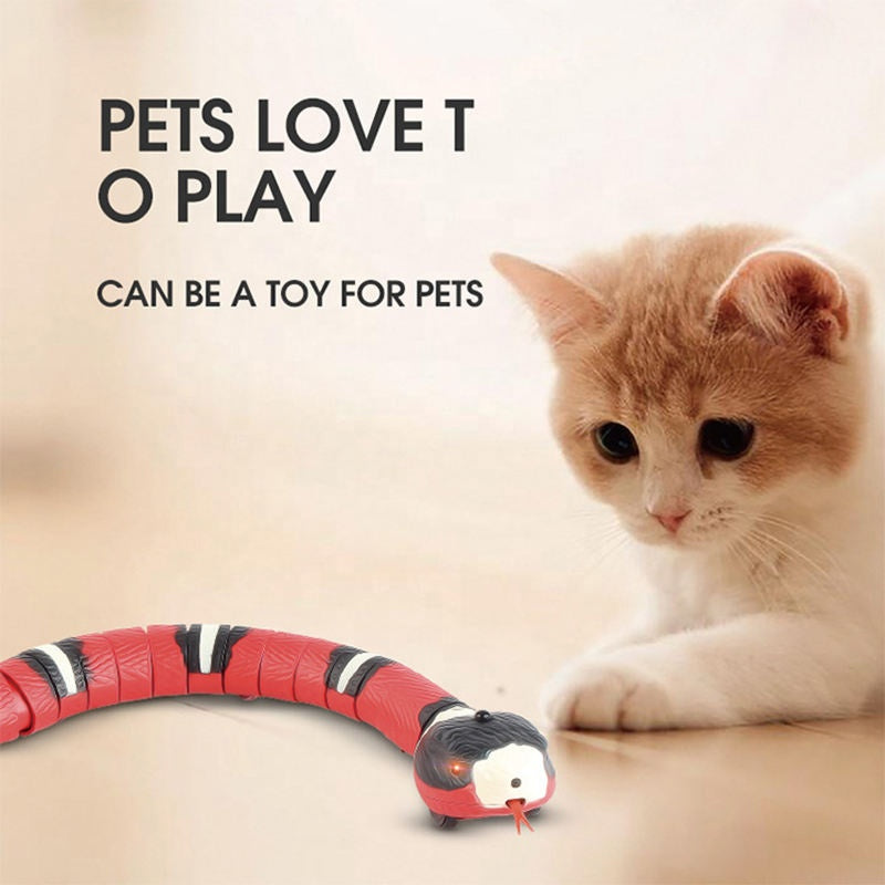 Snake toys for cat and dog electric automatic usb charging