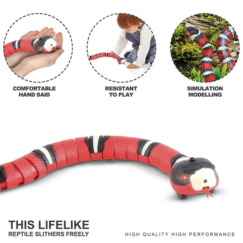 Snake toys for cat and dog electric automatic usb charging