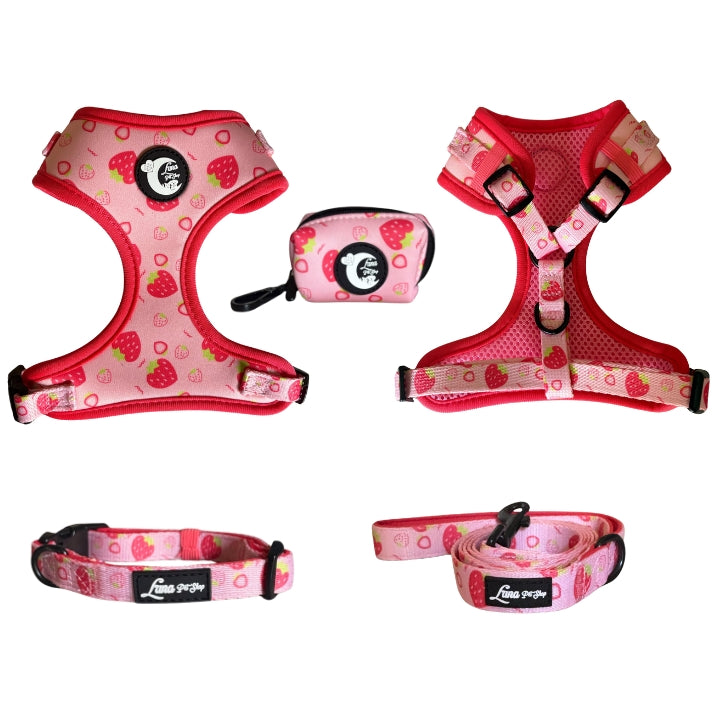 Fruit Adjustable Walking Set