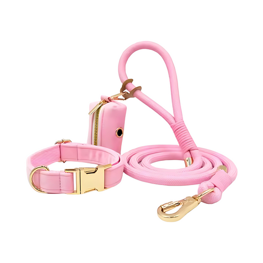 Princess Rope Luxury Dog Walk Set