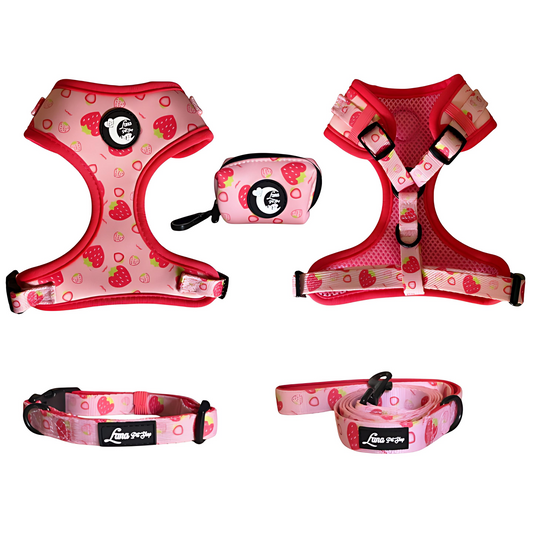 Strawberry  Adjustable Walking Set