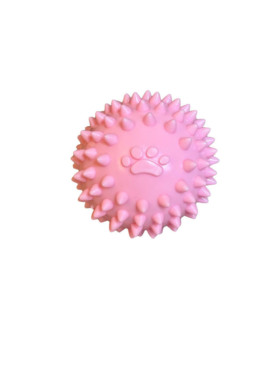 Puppies chew and theething ball toy